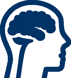 Brain icon