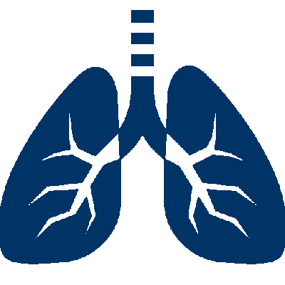 Lung icon