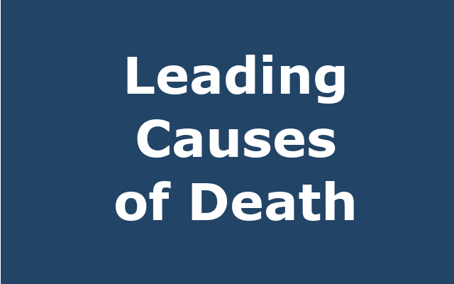 Leading Causes of Death report link