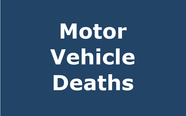 Motor Vehicle-related Death report link