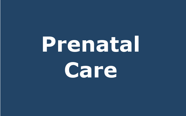 First Trimester Prenatal Care Onset report link