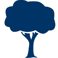 Tree icon