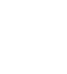 brain icon