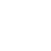 hard hat icon