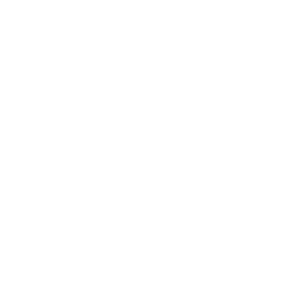 lungs icon